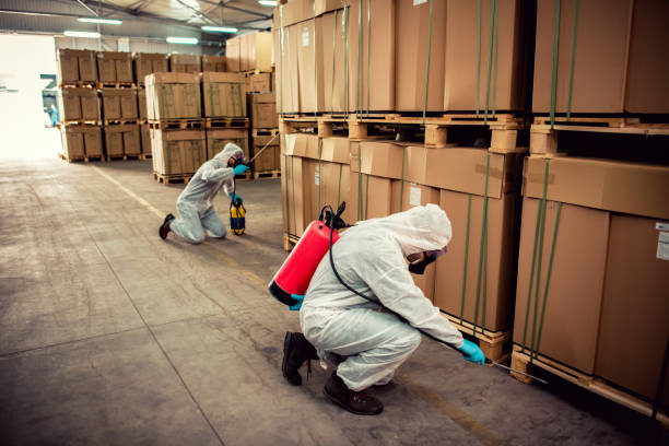 Best Affordable Pest Control Services  in Shoreacres, TX
