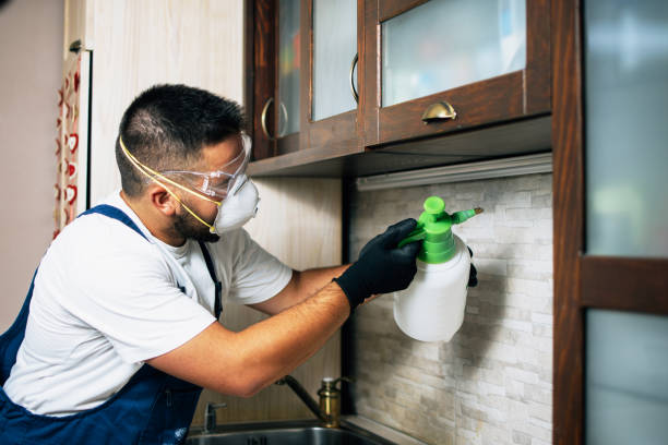 Flea Control Services in Shoreacres, TX