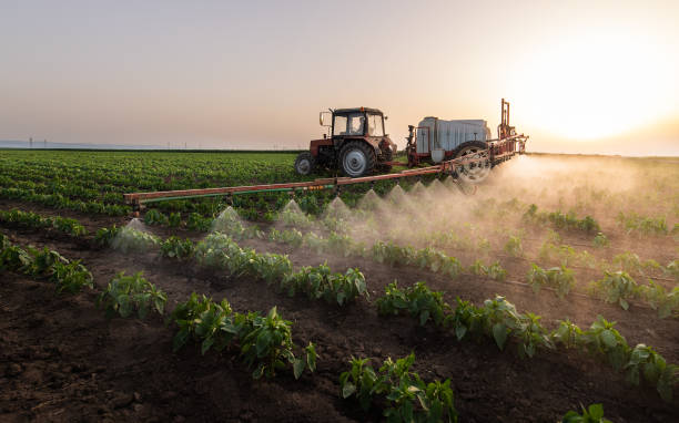 Best Pest Control Near Me  in Shoreacres, TX
