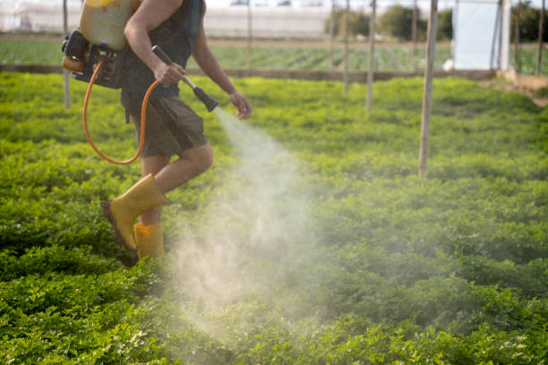 Professional Pest Control in Shoreacres, TX
