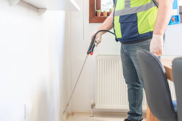 Best Bed Bug Extermination  in Shoreacres, TX