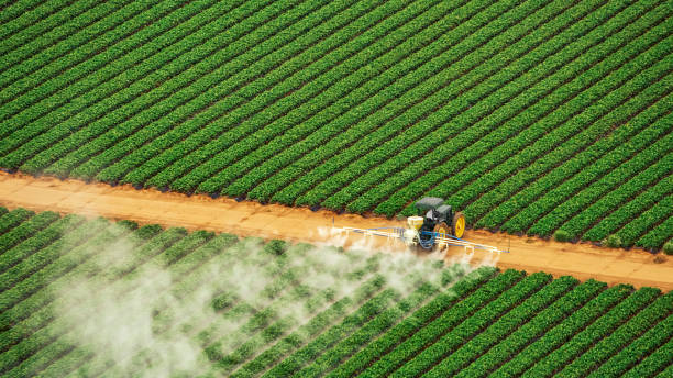 Best Best Pest Control Companies  in Shoreacres, TX