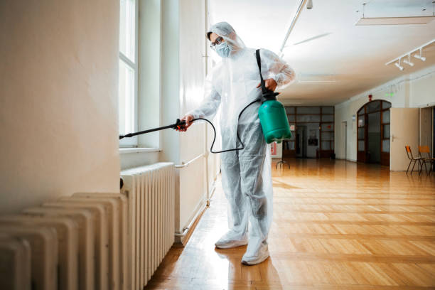 Best Emergency Pest Control  in Shoreacres, TX